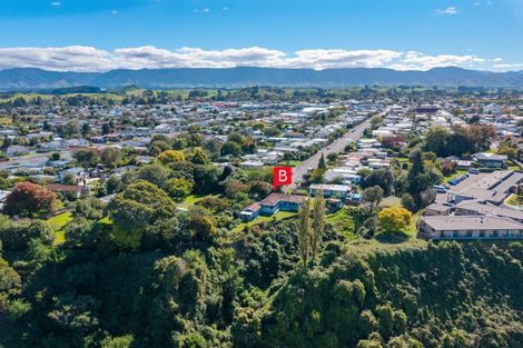 Photo of property in 91 Gordon Street, Dannevirke, 4930