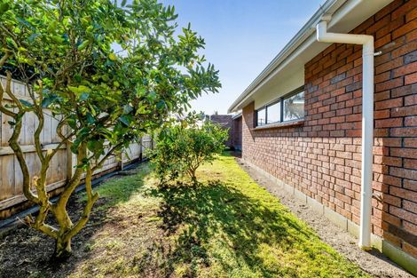 Photo of property in 8 Argyle Place, Highlands Park, New Plymouth, 4312