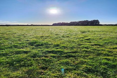 Photo of property in 5 Robson Court, Gate Pa, 3112