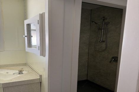 Photo of property in 38 Young Street, Morrinsville, 3300