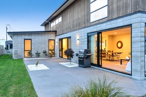 Photo of property in 77 Roy Hilton Drive, Flagstaff, Hamilton, 3210