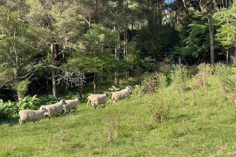 Photo of property in 1469 East Coast Road, Redvale, Albany, 0794