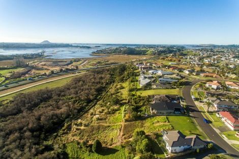 Photo of property in 79 Sapphire Drive, Hairini, Tauranga, 3112