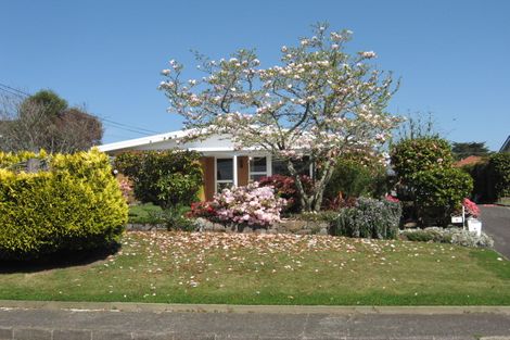Photo of property in 8 Carlton Street, Glenholme, Rotorua, 3010