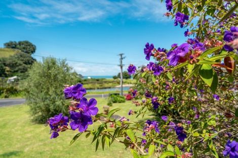 Photo of property in 1 Hazlett Road, Te Mata, Thames, 3575