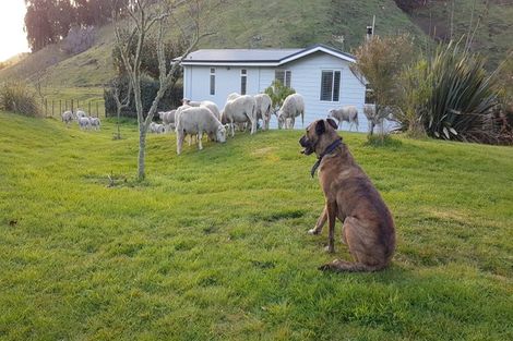 Photo of property in 268 Whangamata Road, Kinloch, Taupo, 3377