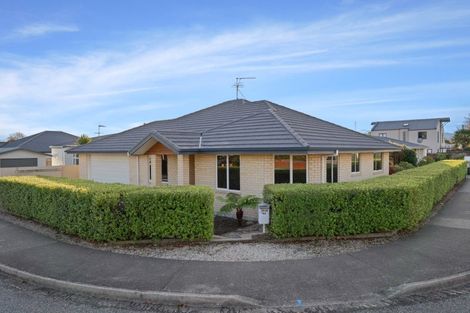 Photo of property in 44 Percy Street, Blenheim, 7201
