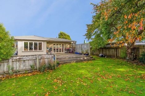 Photo of property in 12 Carlisle Street, Levin, 5510