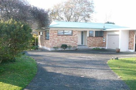 Photo of property in 16a Bledisloe Court, Pukekohe, 2120