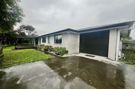 Photo of property in 1029a Waipuna Street, Mahora, Hastings, 4120