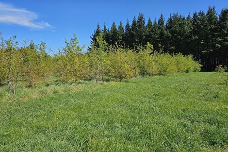 Photo of property in 577 Pesters Road, West Eyreton, Rangiora, 7475