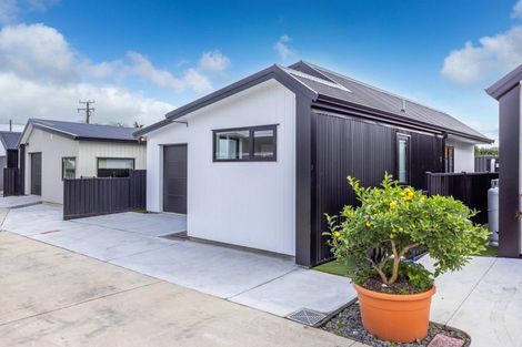 Photo of property in 3/382 Mahoe Street, Te Awamutu, 3800