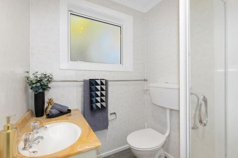 Photo of property in 120 Kings Crescent, Hutt Central, Lower Hutt, 5010