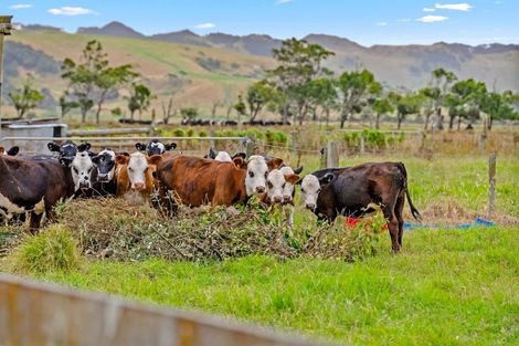 Photo of property in 331 South Head Road, South Head, Helensville, 0874