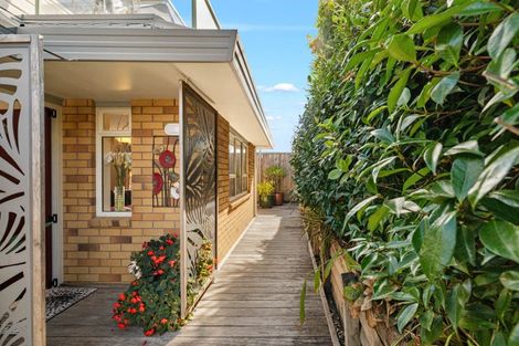 Photo of property in 20a Tweed Street, Mount Maunganui, 3116