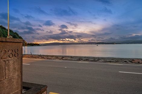 Photo of property in 238 Marine Drive, Lowry Bay, Lower Hutt, 5013