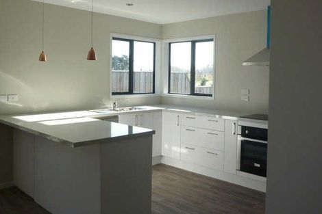 Photo of property in 117 Infinity Drive, Pegasus, 7612