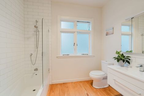 Photo of property in 45 Alfred Street, Fairfield, Hamilton, 3214