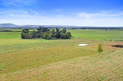 Photo of property in 920 Oxford Road, Fernside, Rangiora, 7471