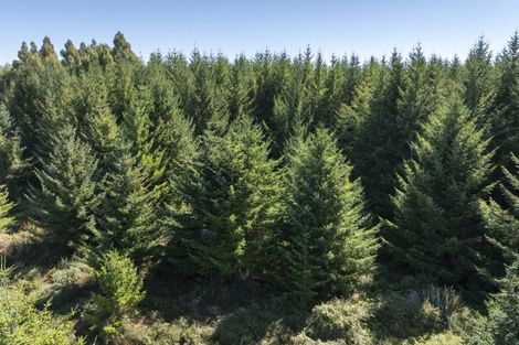 Photo of property in 900 Hillside-manapouri Road, Manapouri, 9679