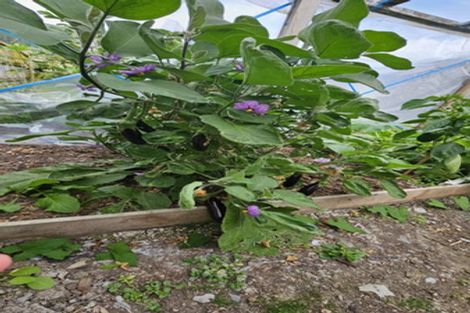 Photo of property in 90 Wilkie Crescent, Naenae, Lower Hutt, 5011