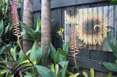 Photo of property in 44 Mangawhai Heads Road, Mangawhai Heads, Mangawhai, 0505