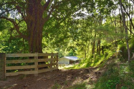 Photo of property in 208 Cave Road, Matokitoki, Gisborne, 4071