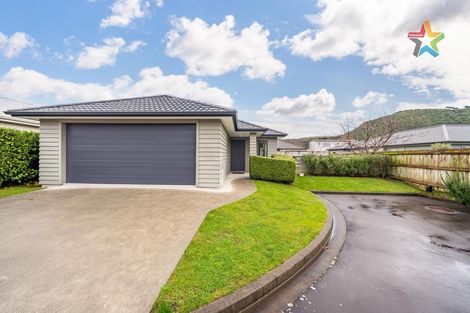 Photo of property in 56 Farmer Crescent, Taita, Lower Hutt, 5011
