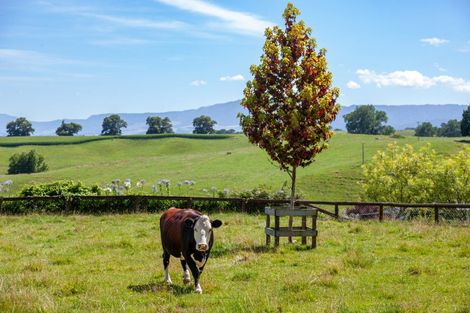 Photo of property in 21 Tapapa West Road, Tapapa, Tirau, 3485