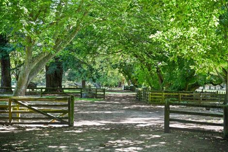 Photo of property in 781c Bruntwood Road, Tamahere, Hamilton, 3283