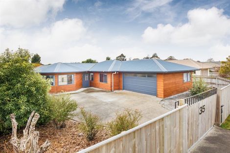 Photo of property in 35 Sherwill Street, Feilding, 4702