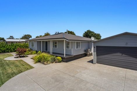 Photo of property in 28 Bridge Street, Whakatane, 3120
