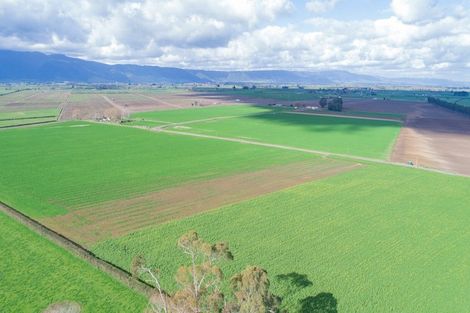 Photo of property in 1310 Alexandra Road, Waharoa, 3474