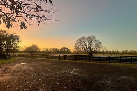 Photo of property in 353 Victoria Road, Pukemoremore, Cambridge, 3493