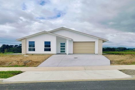 Photo of property in 36 Triplefin Avenue, Omokoroa, 3114