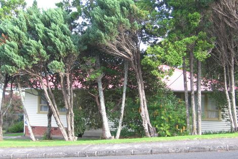 Photo of property in 51 Woodford Avenue, Henderson, Auckland, 0610