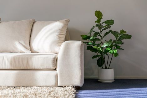 Photo of property in 40b Miro Street, Mount Maunganui, 3116