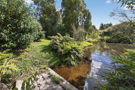 Photo of property in 118 Mcphail Road, Oropi, Tauranga, 3173