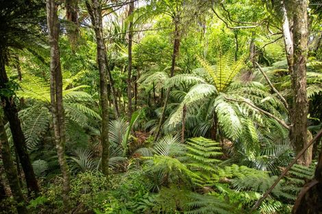 Photo of property in 994 Kennedy Bay Road, Kennedy Bay, Coromandel, 3583