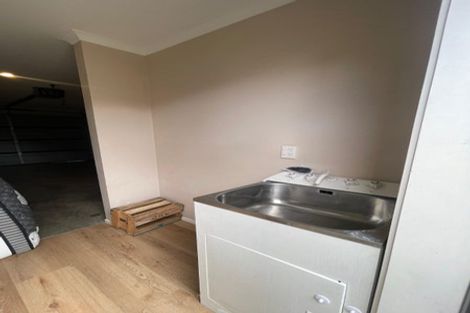 Photo of property in 217b Killarney Road, Frankton, Hamilton, 3204