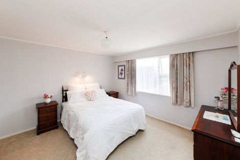 Photo of property in 17 Blenheim Place, Feilding, 4702
