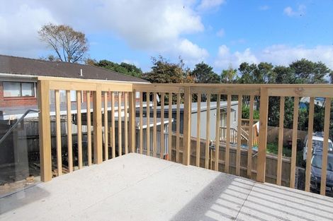 Photo of property in 53 Rogan Street, Mount Roskill, Auckland, 1041