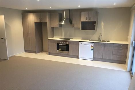 Photo of property in 55 Nautilus Drive, Gulf Harbour, Whangaparaoa, 0930