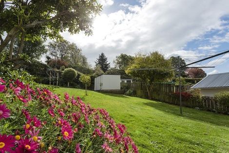 Photo of property in 5 Chapman Street, Wakari, Dunedin, 9010