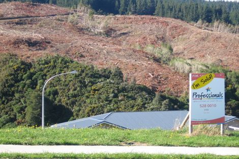 Photo of property in 113 Kirton Drive, Riverstone Terraces, Upper Hutt, 5018