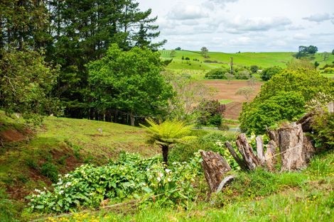 Photo of property in 4 Mangati Road, Puketotara, Te Awamutu, 3876