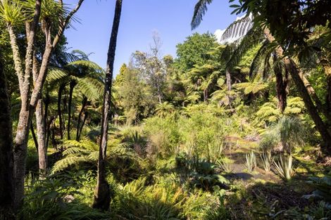 Photo of property in 11b Stokes Road, Tahawai, Katikati, 3170