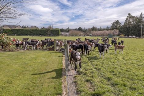 Photo of property in 201 Hollands Road, Tinwald, Ashburton, 7771