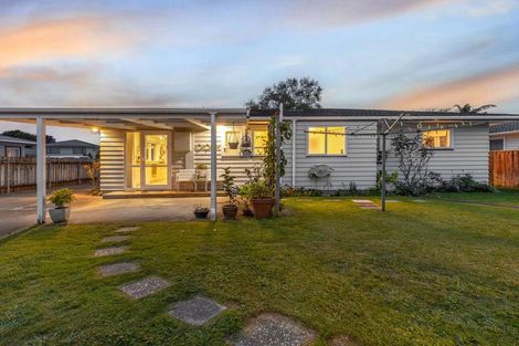 Photo of property in 74 Kennedy Drive, Levin, 5510