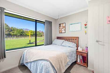 Photo of property in 14 Pukematawai Lane, Levin, 5571